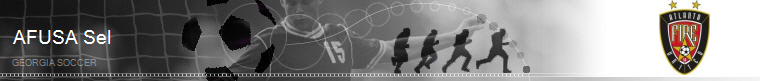 Georgia Soccer banner